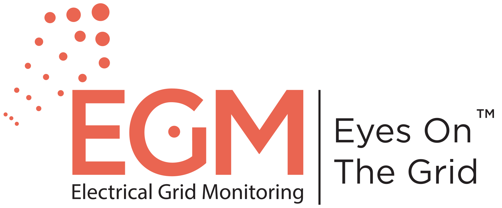 White Paper Guidehouse form EGM Electrical Grid Monitoring Inc.